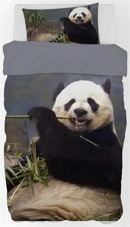 Panda sengetøj - 140x200 cm - Stor og sød panda bjørn - 100% bomulds sengesæt